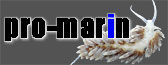 Banner Pro-Marin